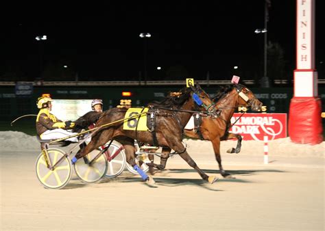 Horse Racing at Balmoral Park